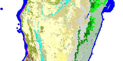 Kat jeyografik nan Madagascar vejetasyon